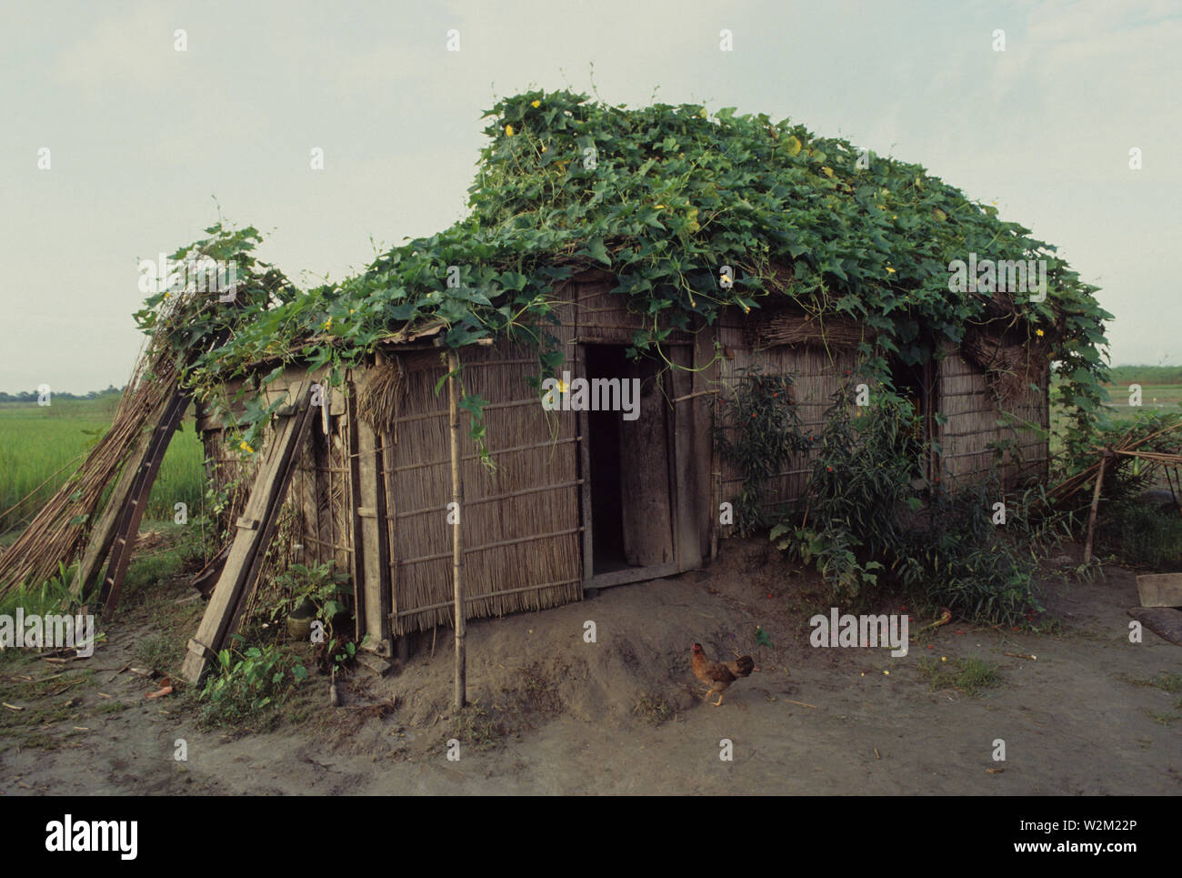 The wetlands of Khaliajuri arable land in the dry season. With