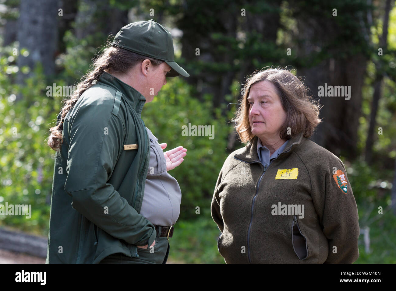 Ranger Penny Wagner (left) speaks to Deputy Park Superintendent Lee Taylor at Hurricane Ridge in Olympic National Park, Washington on July 9, 2019. Today is the second day of a two-week long capture and translocation process moving mountain goats from Olympic National Park to the northern Cascade Mountains. The effort is a collaboration between the National Park Service, the Washington Department of Fish & Wildlife and the USDA Forest Service to re-establish depleted populations of mountain goats in the Northern Cascades while also removing non-native goats from the Olympic Mountains. The anim Stock Photo