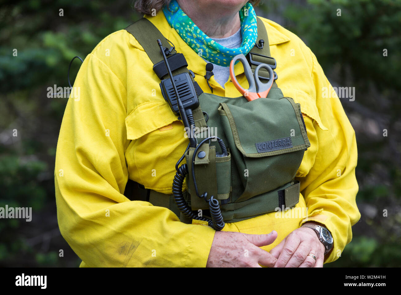 Patti Happe, wildlife biologist with the National Park Service, speaks to members of the media at Hurricane Ridge in Olympic National Park, Washington on July 9, 2019. Today is the second day of a two-week long capture and translocation process moving mountain goats from Olympic National Park to the northern Cascade Mountains. The effort is a collaboration between the National Park Service, the Washington Department of Fish & Wildlife and the USDA Forest Service to re-establish depleted populations of mountain goats in the Northern Cascades while also removing non-native goats from the Olympic Stock Photo