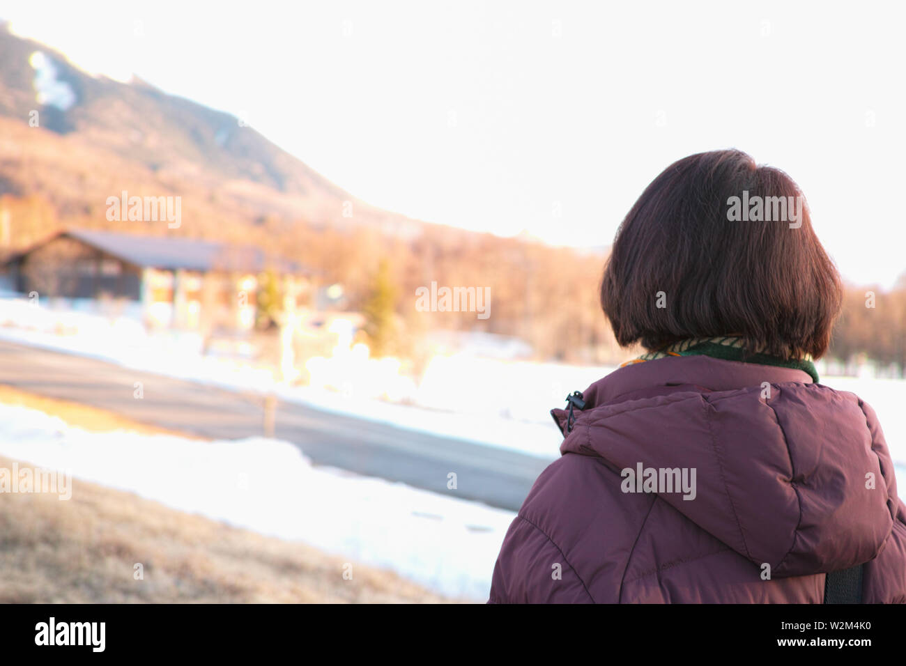 The back of a woman's head as she observes Winter scenery Stock Photo