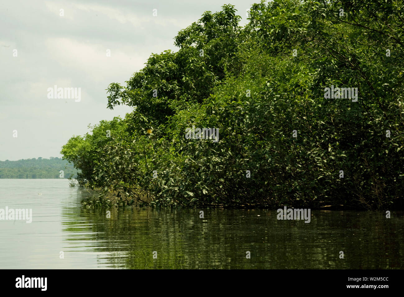 Water, Landscape, Cuieiras River, Manaus, Amazônia, Amazonas, Brazil Stock Photo