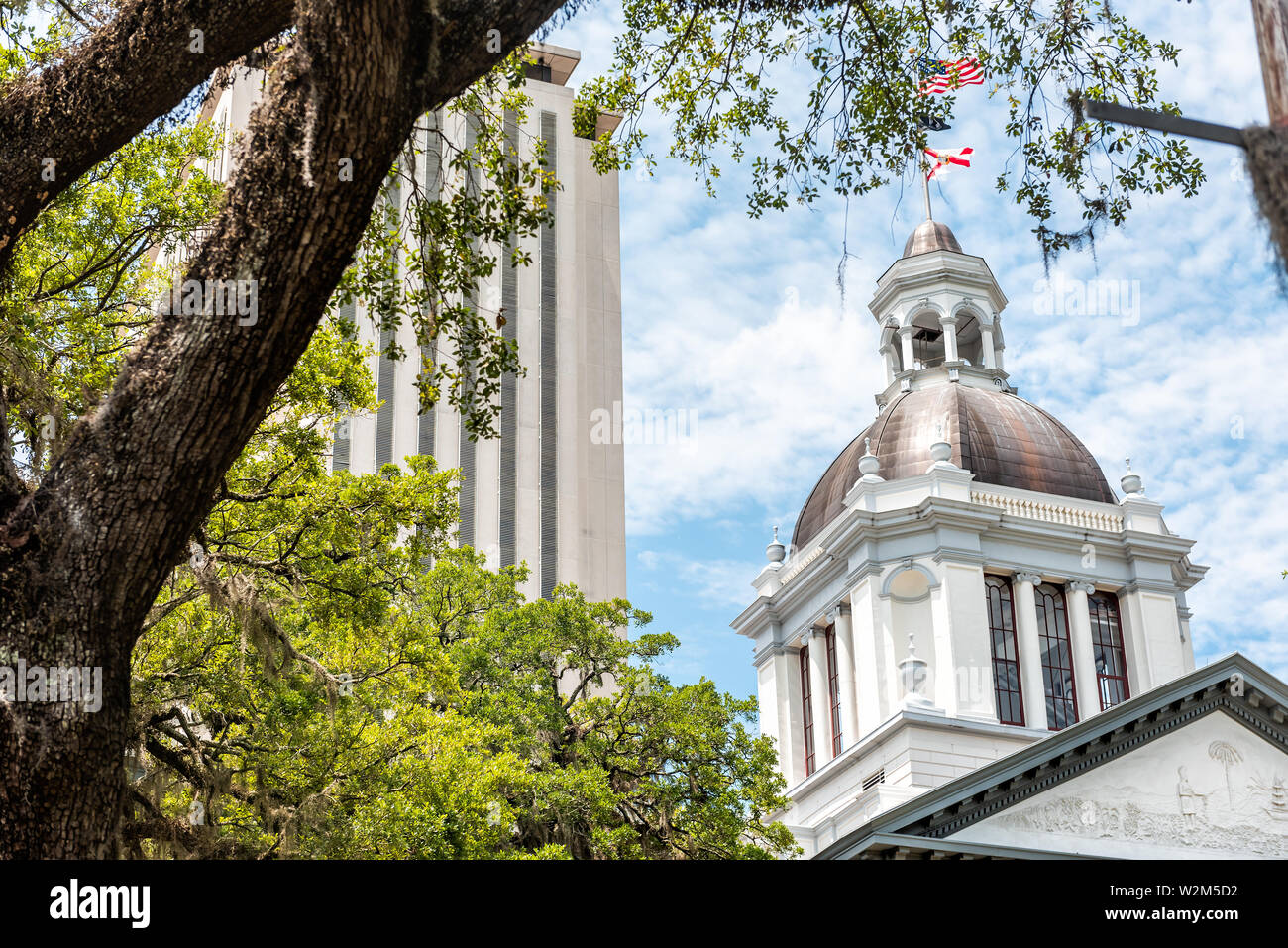 Tallahassee, USA - April 26, 2018: State capitol building in Florida during day with modern architecture of government and tree closeup Stock Photo