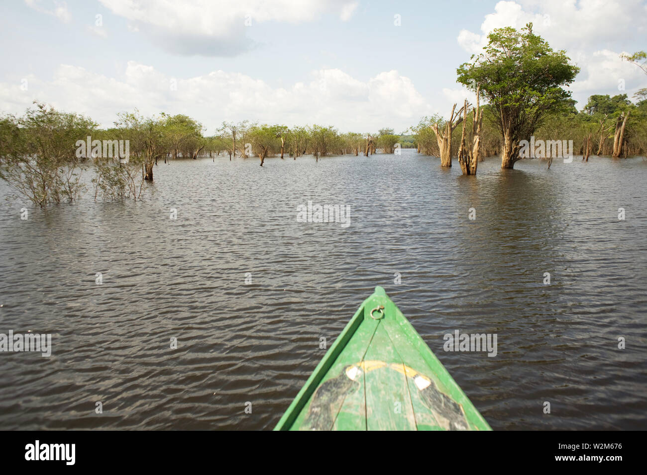 Prow, Landscape, Igapós, Cuieiras River, Manaus, Amazônia, Amazonas, Brazil Stock Photo