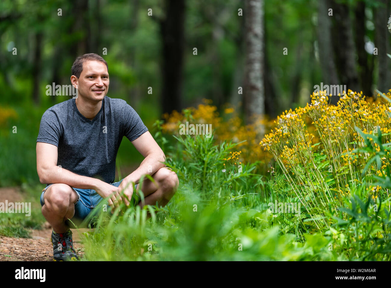 Happy man in Story of the Forest nature trail in Shenandoah Blue Ridge appalachian mountains by yellow flowers on path Stock Photo