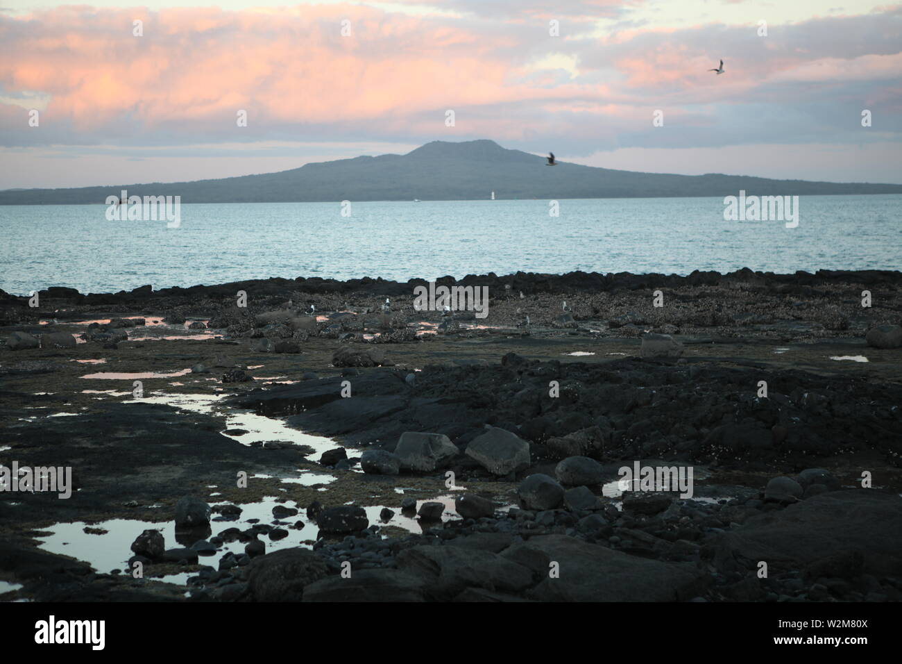 Iconic Rangitoto volcano on Rangitoto Island. Photo taken from tje ...