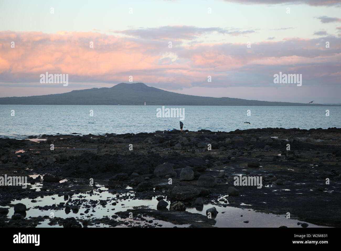 Iconic Rangitoto volcano on Rangitoto Island. Photo taken from tje ...