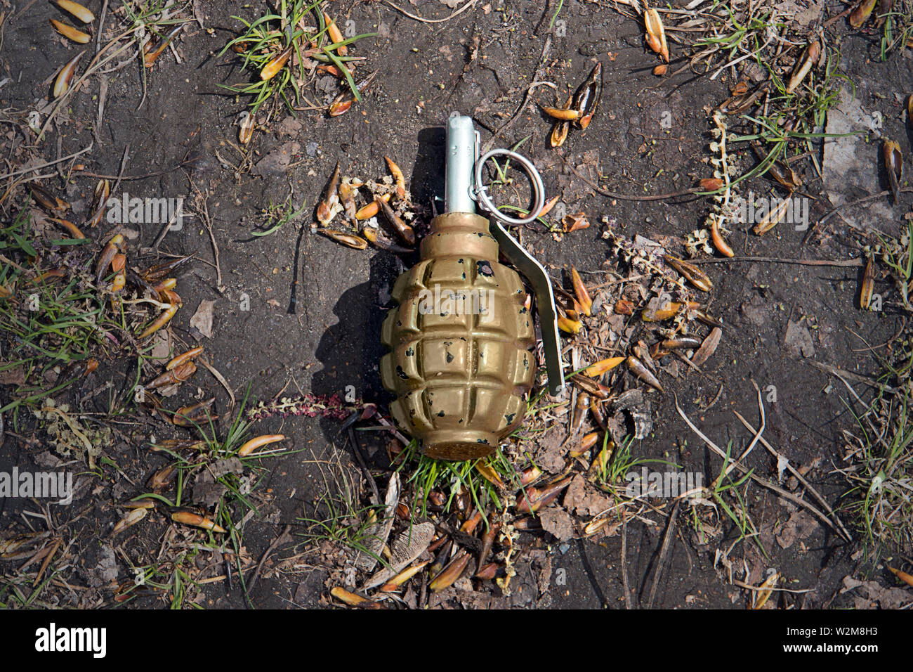 green grenade resting on a battlefield. Hand grenade F-1. Lost green garnet. real weapons are dangerous, fragmentation grenade Stock Photo