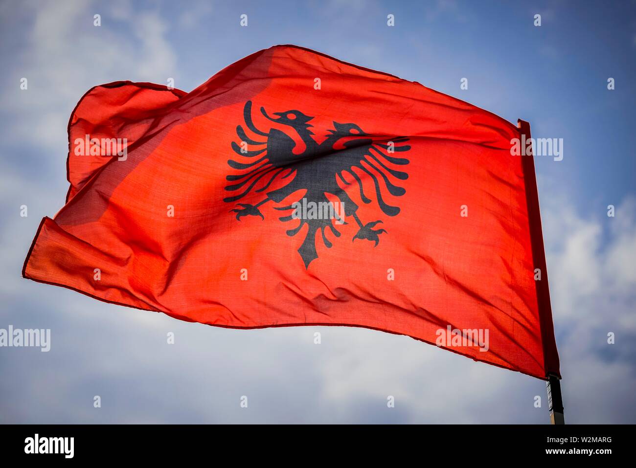 Albanian Two-headed Eagle Flag Graphic Aviator Framed Glasses