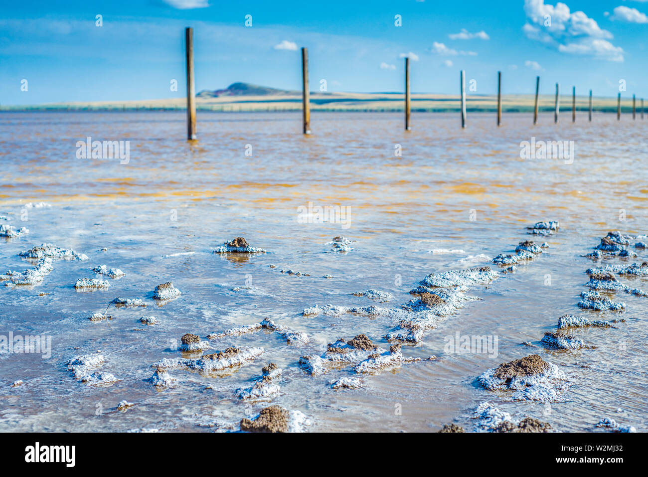Salt Rocks Russian Crystals of natural salt in the lifeless hot terrain on the salt lake ...