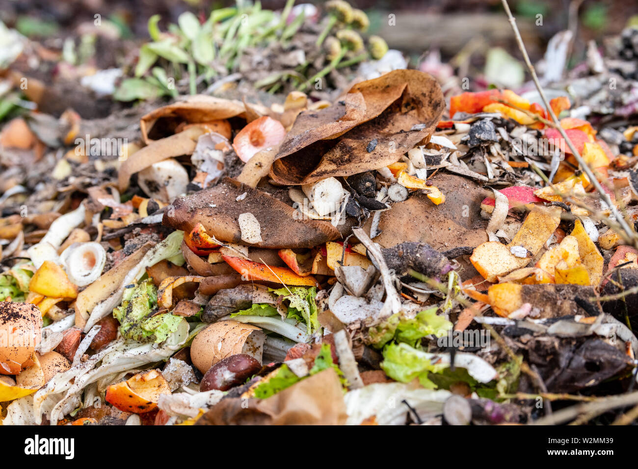 Composting the Kitchen Waste Stock Photo Alamy