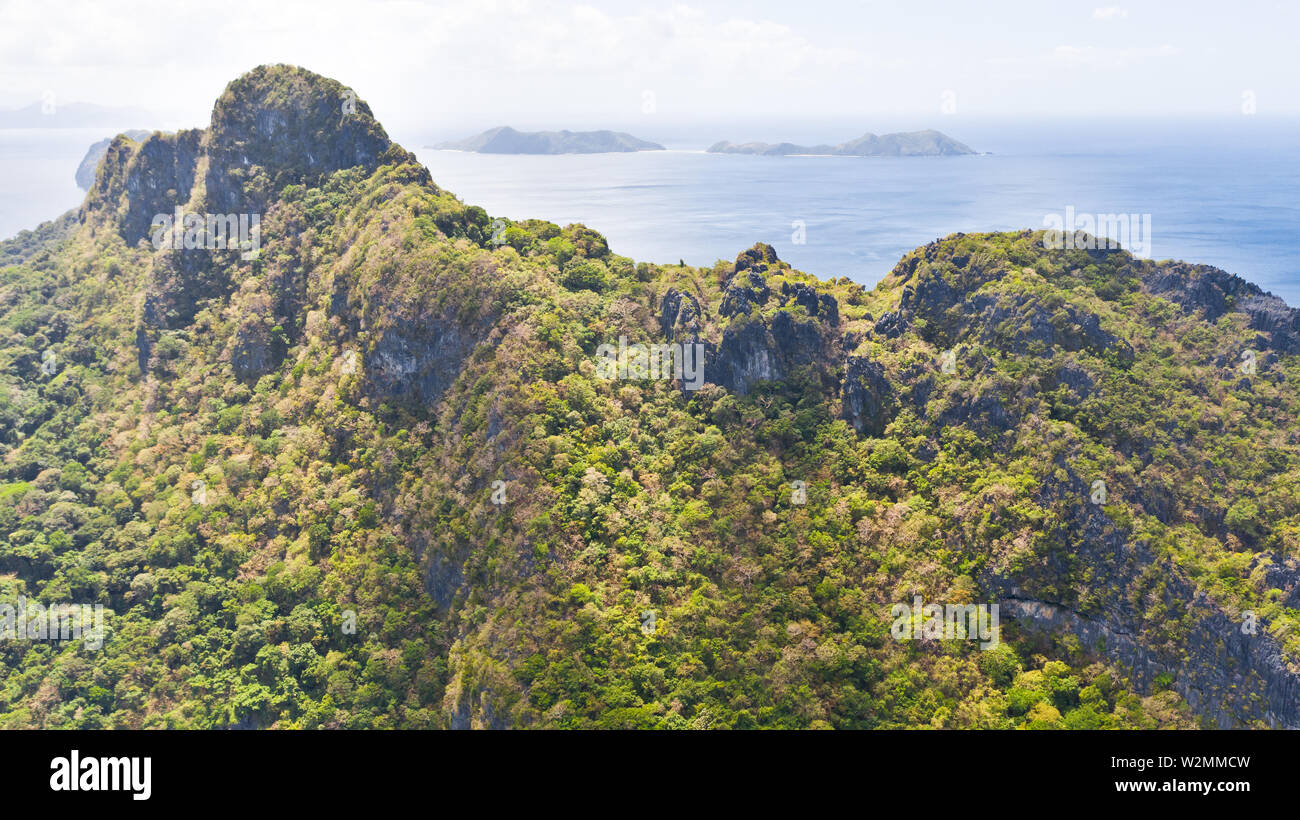 High rocky island with a forest.Seascape with an unoccupied island Stock Photo Alamy