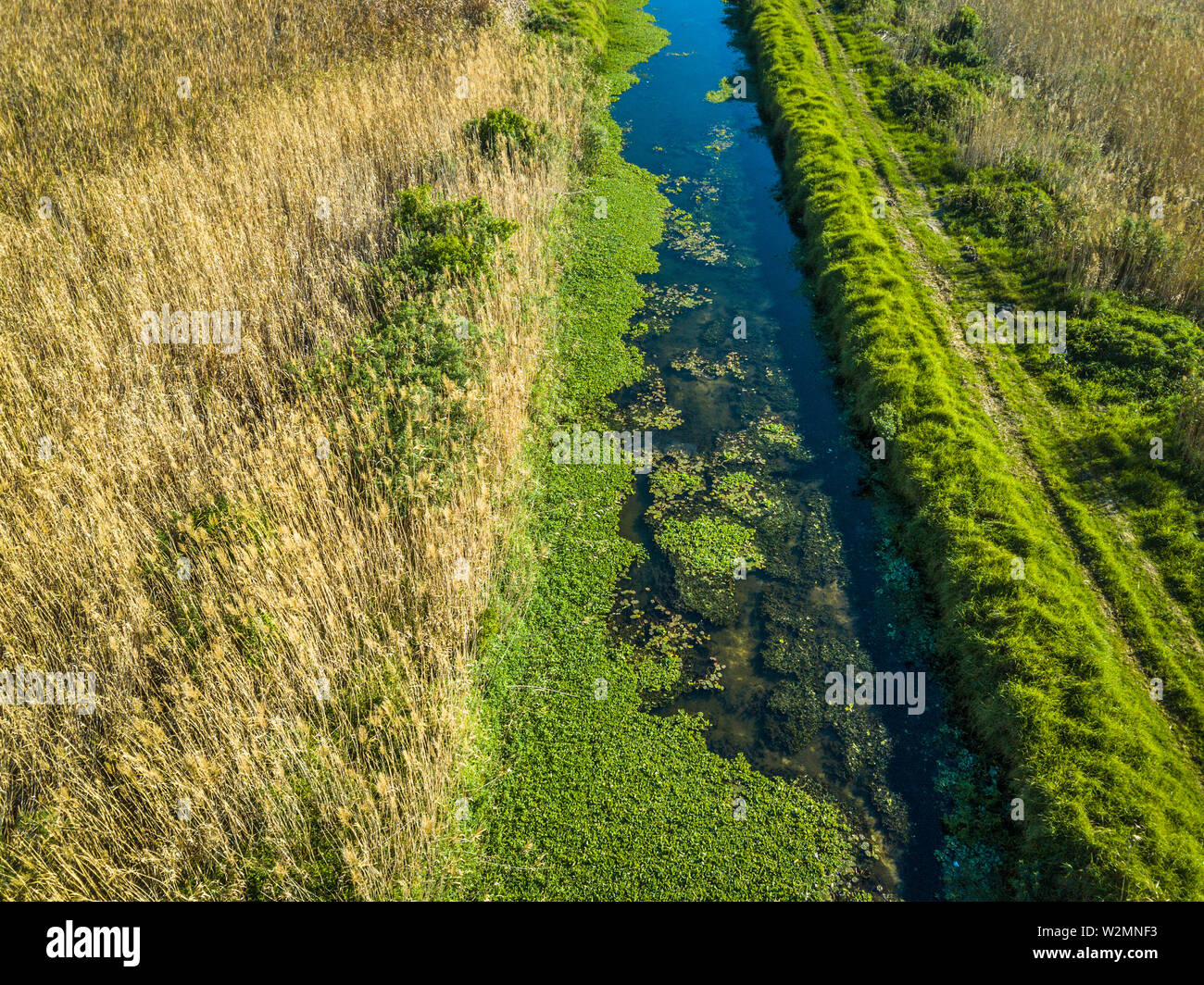 Weed choked river hi-res stock photography and images - Alamy