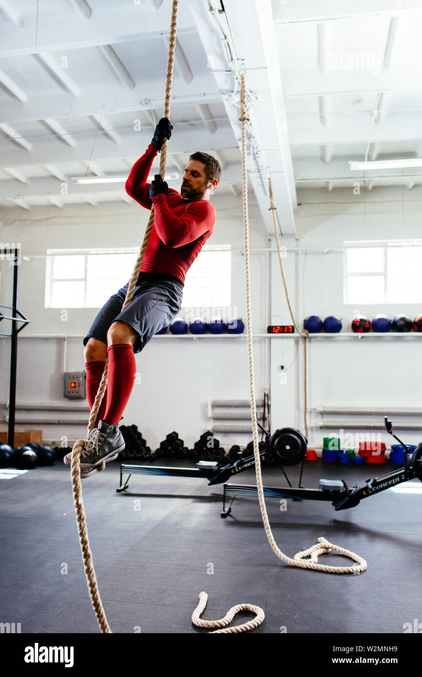 Athletic man climbing rope in gym Stock Photo - Alamy
