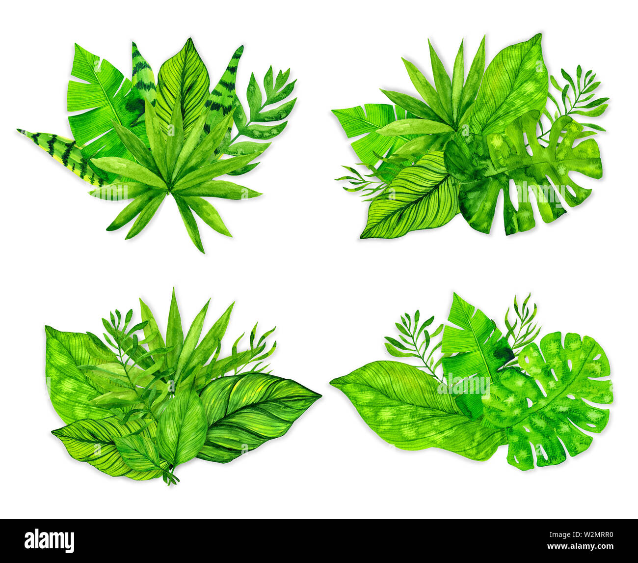 Tropical exotic leaves set on white background. Watercolor illustration Stock Photo