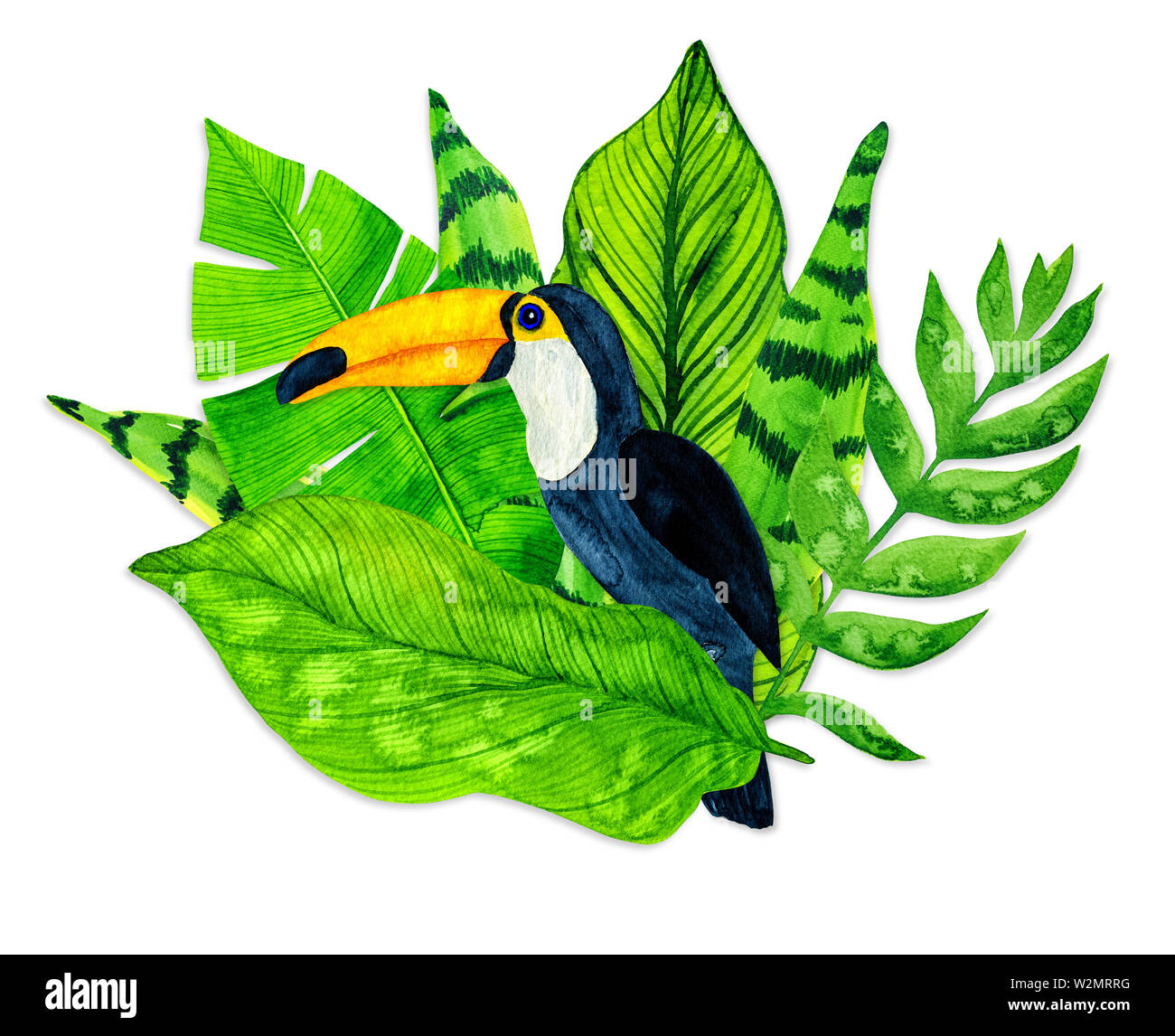 Watercolor tropical leaves and toucan on white backgroundWatercolor tropical leaves and toucan on white background Stock Photo