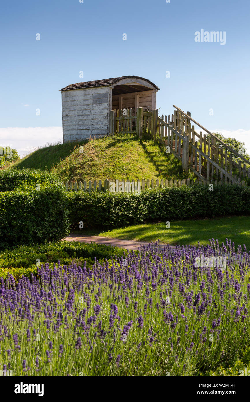 The Mount, Boscobel House gardens, where Charles II would sit and read Stock Photo