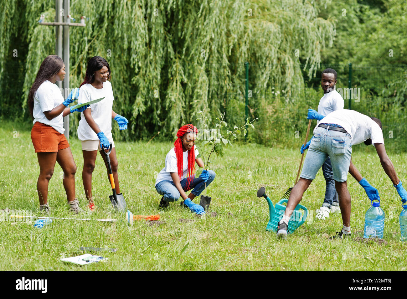 Group of happy african volunteers planting tree in park. Africa