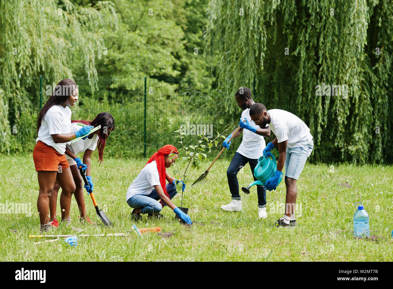 Group of happy african volunteers planting tree in park. Africa