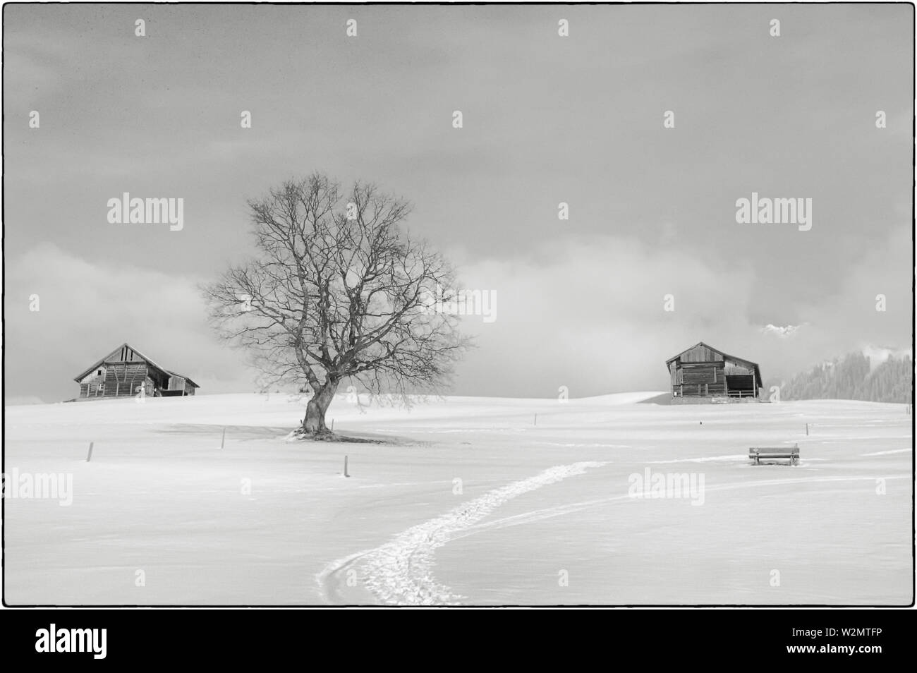 snowscape with bench, tree and two barns (b&w) Stock Photo