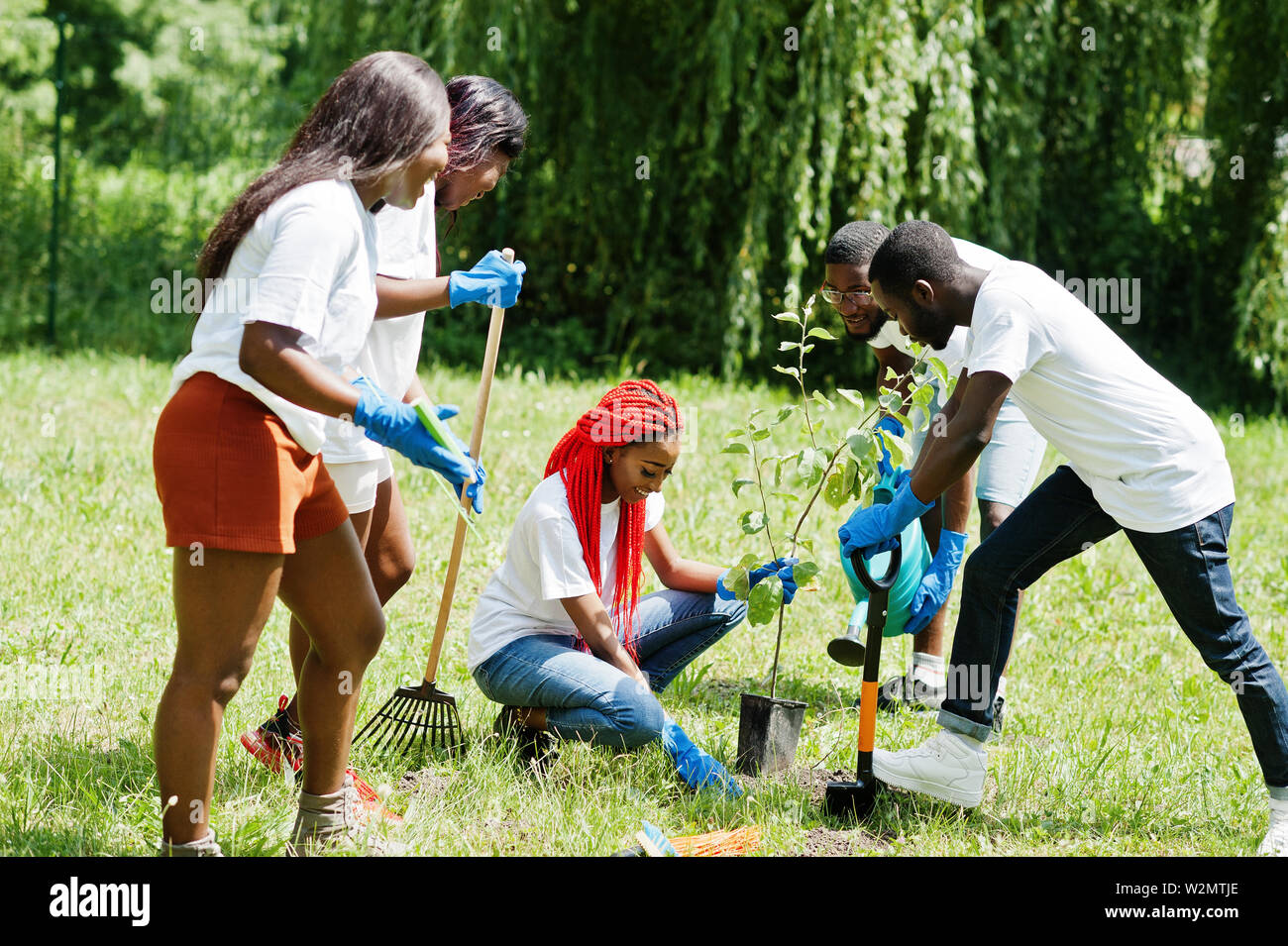 Group of happy african volunteers planting tree in park. Africa