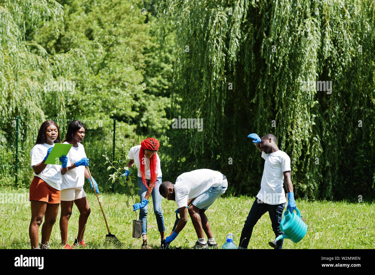 Group of happy african volunteers planting tree in park. Africa