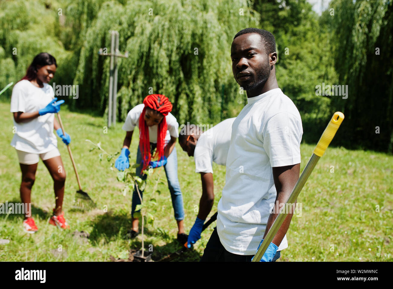 Group of happy african volunteers planting tree in park. Africa