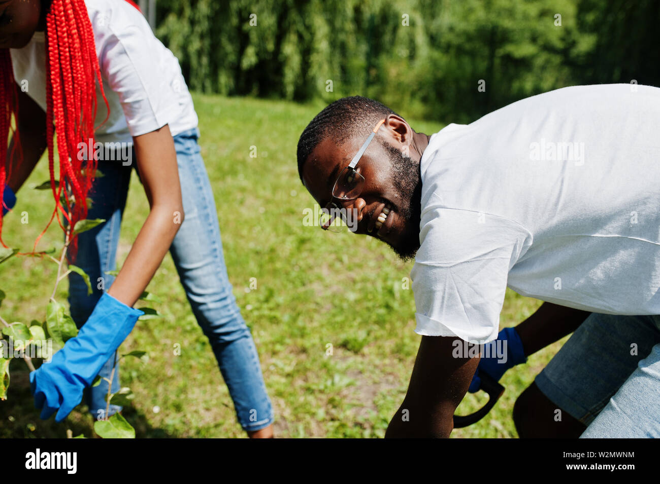 Group of happy african volunteers planting tree in park. Africa