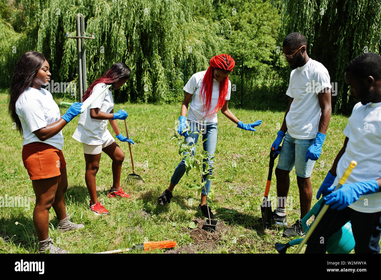 Group of happy african volunteers planting tree in park. Africa
