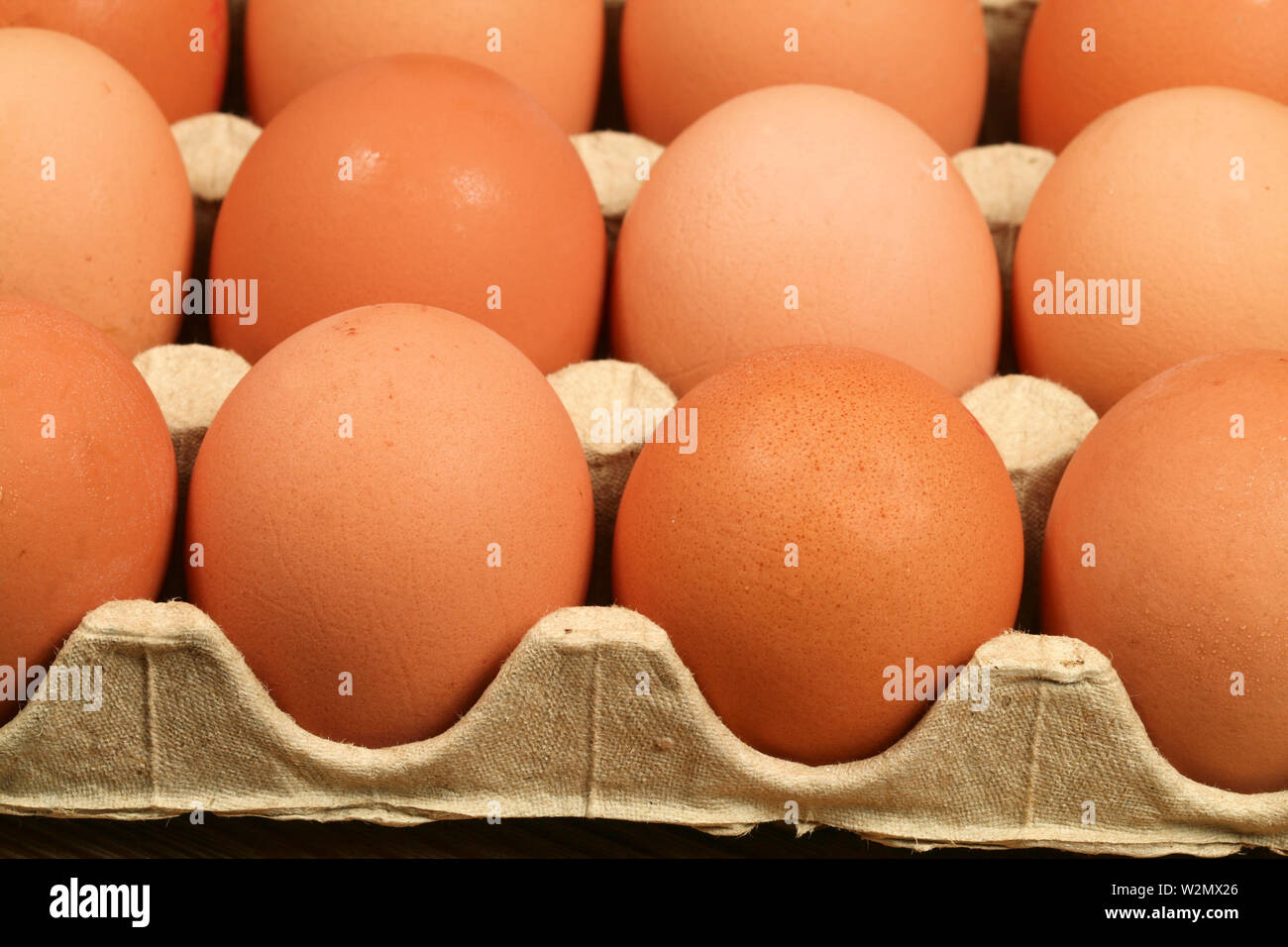 Closeup of brown whole eggs in packing Stock Photo Alamy