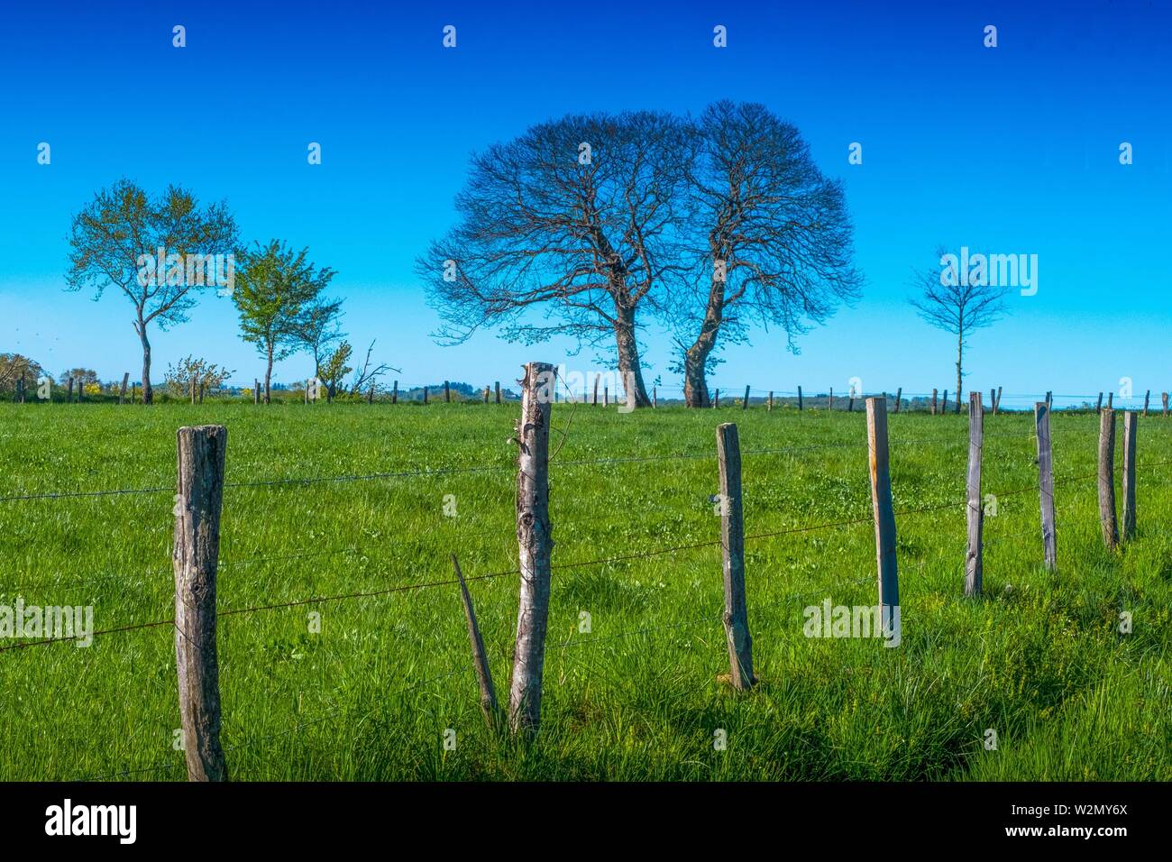 France, Auvergne, Cantal, Landscape in spring , near Parlan. Stock Photo