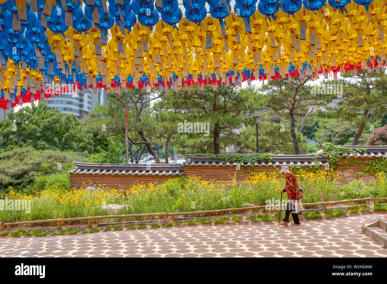 An elderly visitor, colorful lanterns and picturesque pine trees during day time at the Bongeunsa buddhist temple, Seoul, South Korea Stock Photo