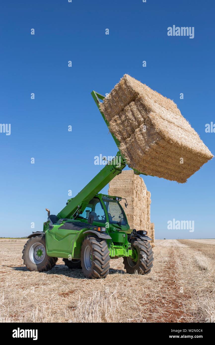 Telescopic handler gathering and stacking bales. Telescopic machinery for agricultural sector. Stock Photo