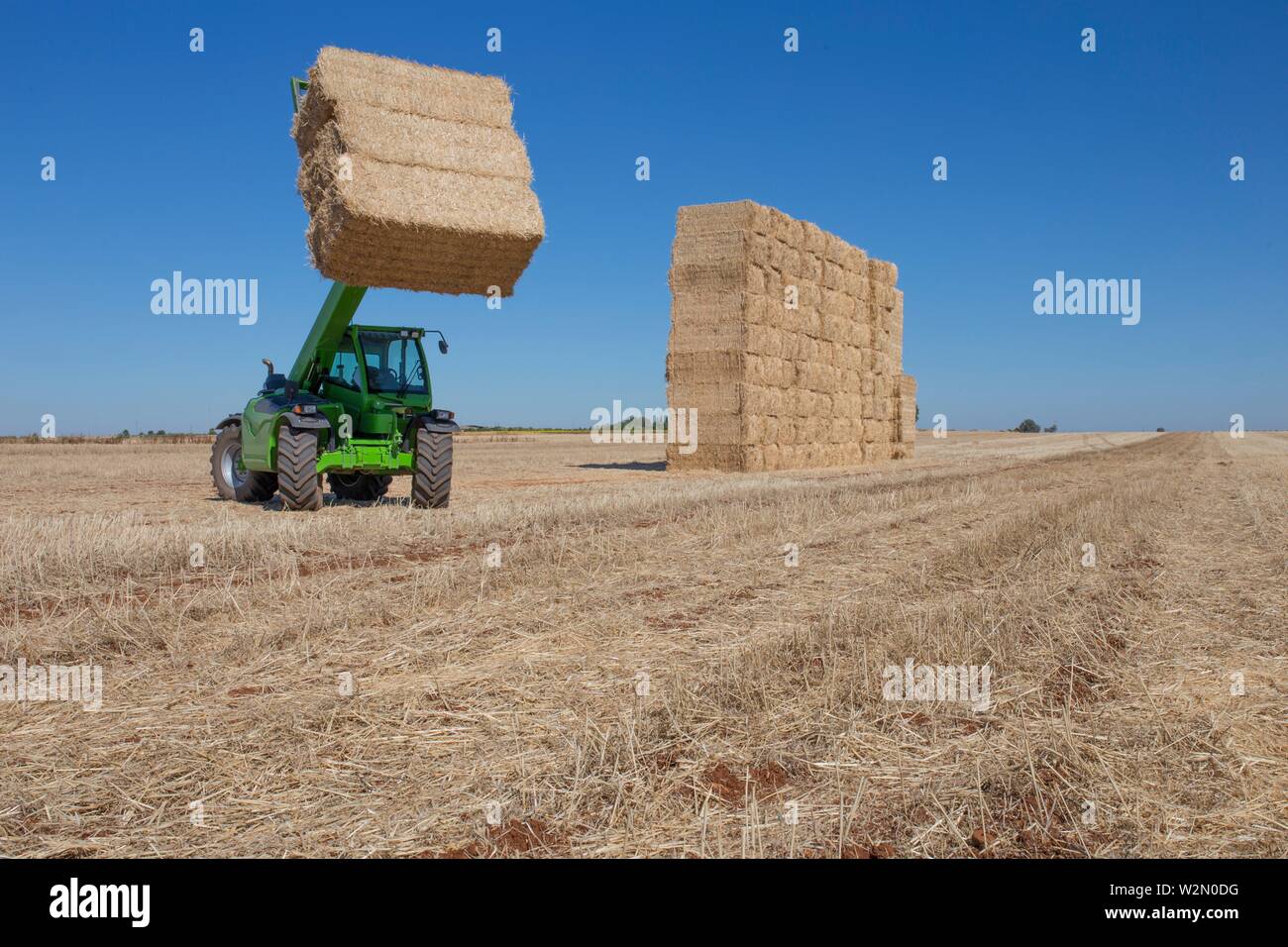 Telescopic handler gathering and stacking bales. Telescopic machinery for agricultural sector. Stock Photo