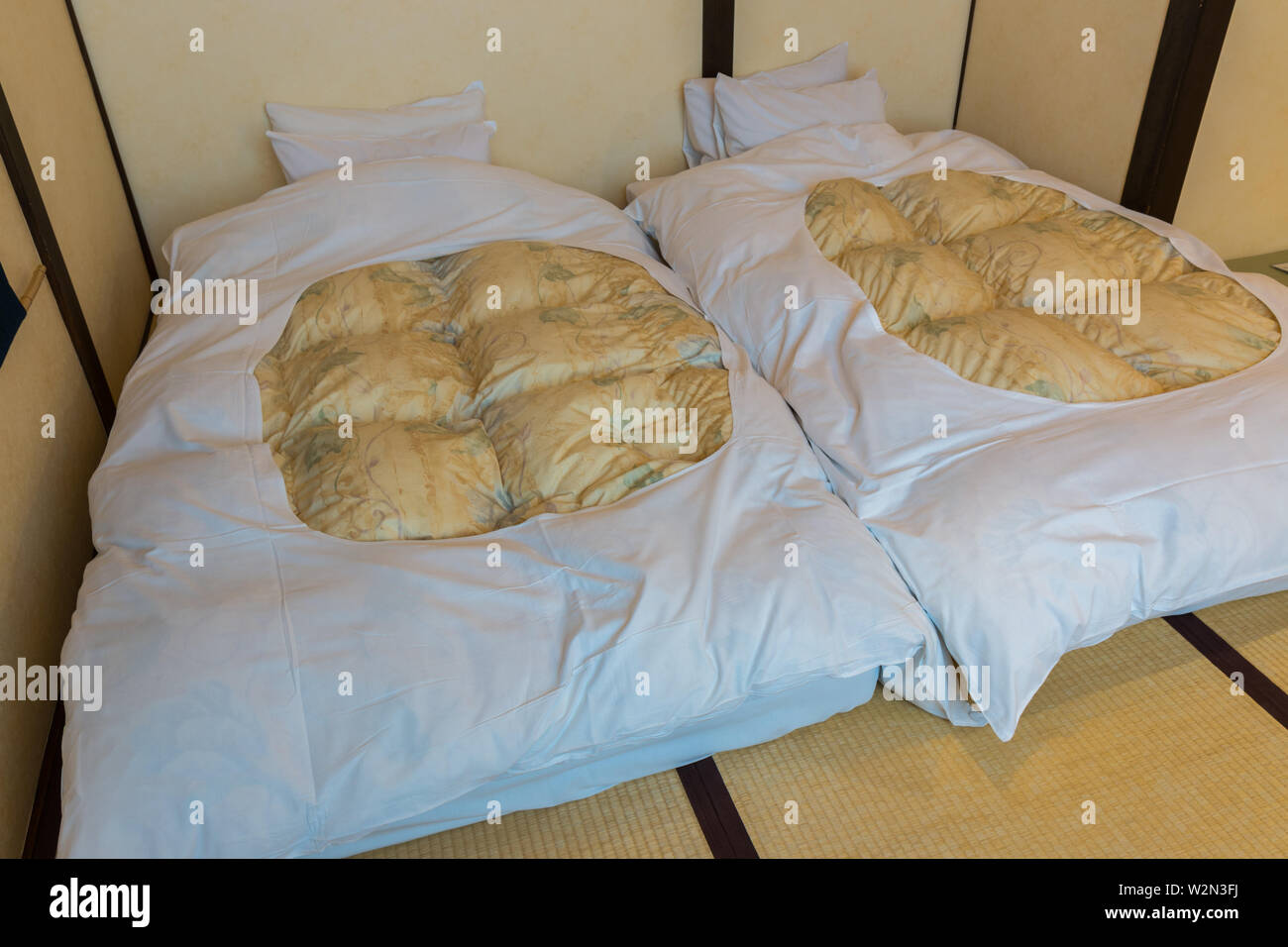 Twin Mattress On Tatami Mat Japanese Style Stock Photo 259848614