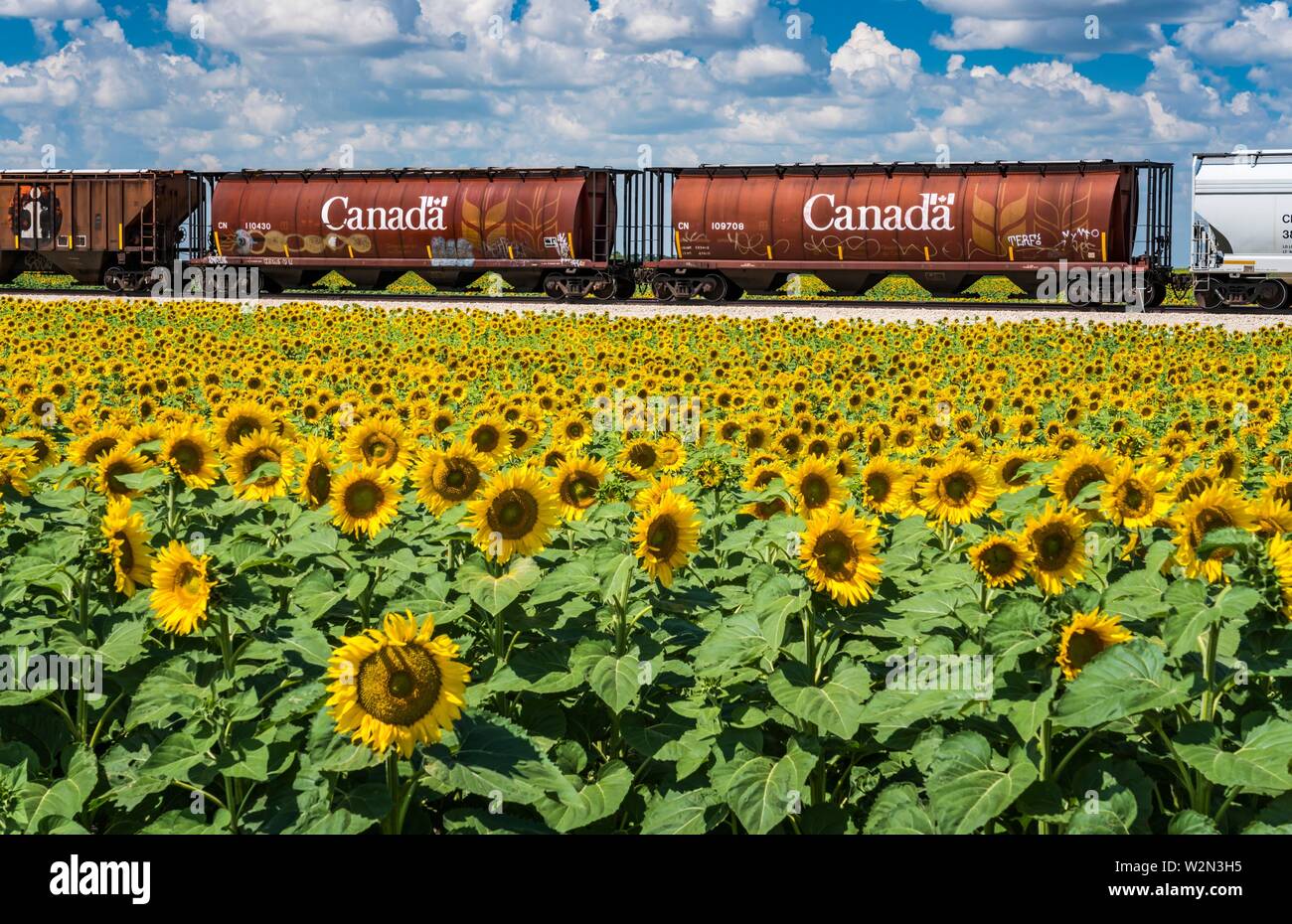 Brunkild manitoba hires stock photography and images Alamy