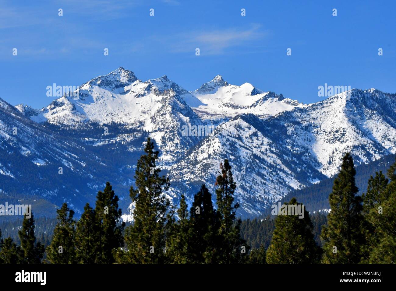 Bitterroot High Resolution Stock Photography and Images Alamy