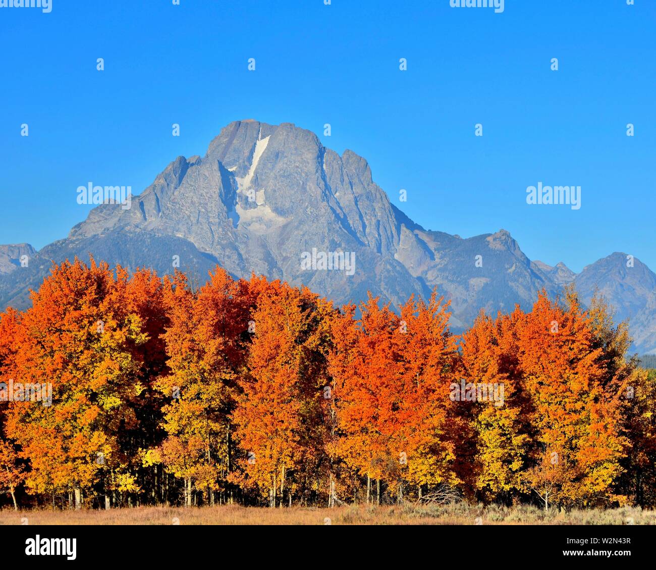 Moran Wyoming Stock Photos Moran Wyoming Stock Images Alamy