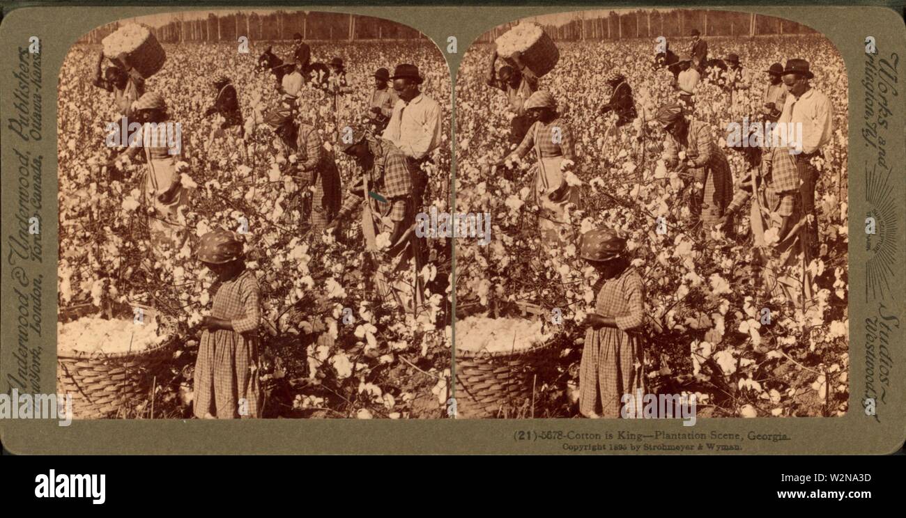 Cotton is king A plantation scene, Underwood & Underwood