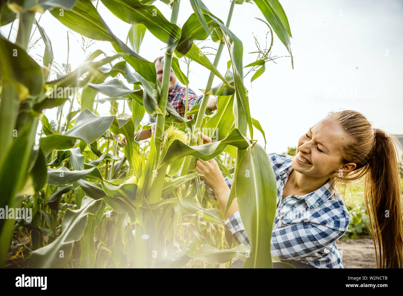Young and happy farmer's couple at their garden in sunny day. Man and woman engaged in the cultivation of eco friendly products. Concept of farming, agriculture, healthy lifestyle, family occupation. Stock Photo