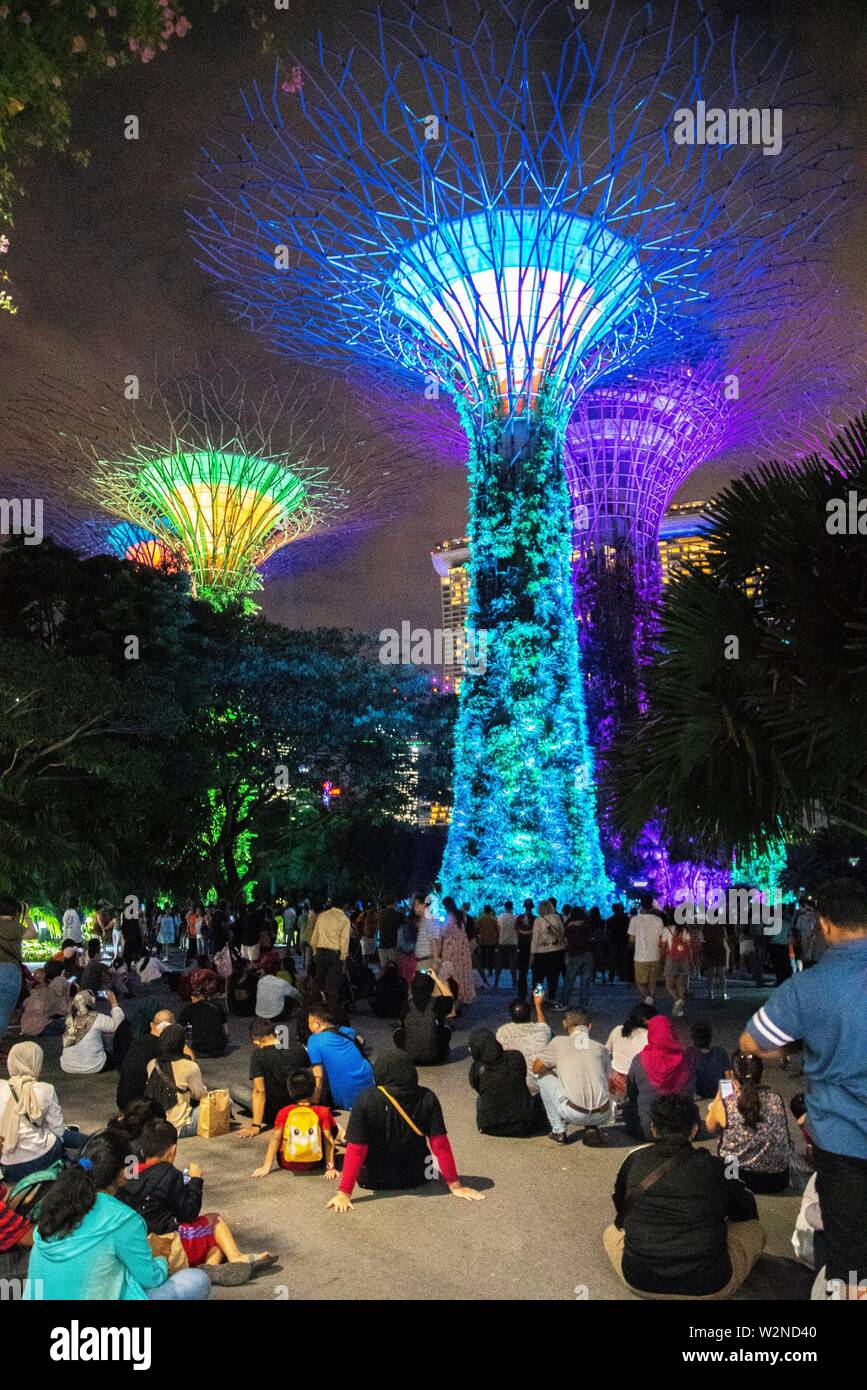 Gardens by the bay supertree hi-res stock photography and images - Alamy