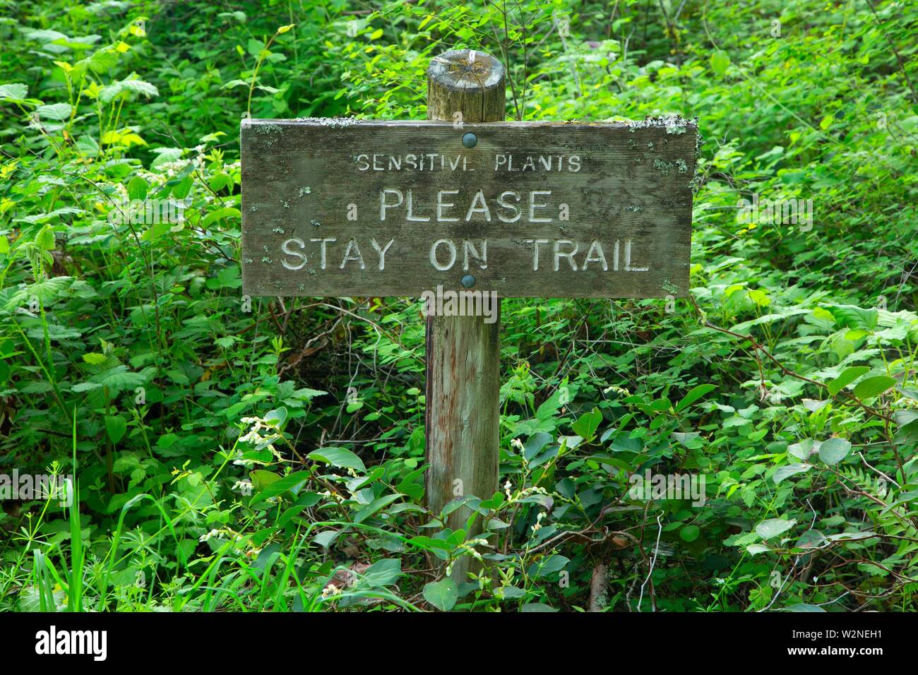 Sign Along Nature Trail Bridal Veil Falls State Park Columbia River Gorge National Scenic Area Oregon Stock Photo Alamy