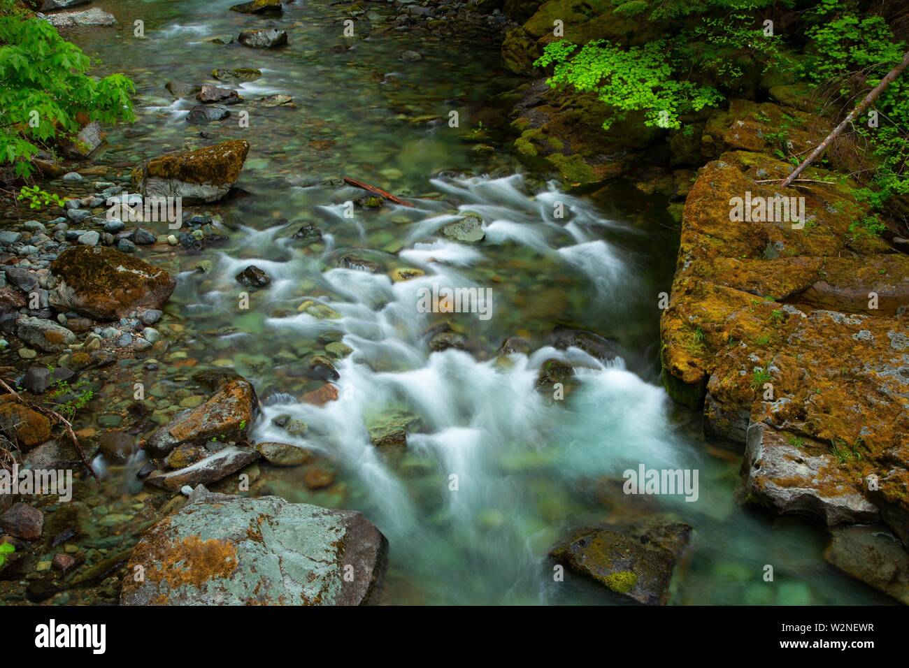Quartzville creek national back country byway hires stock photography