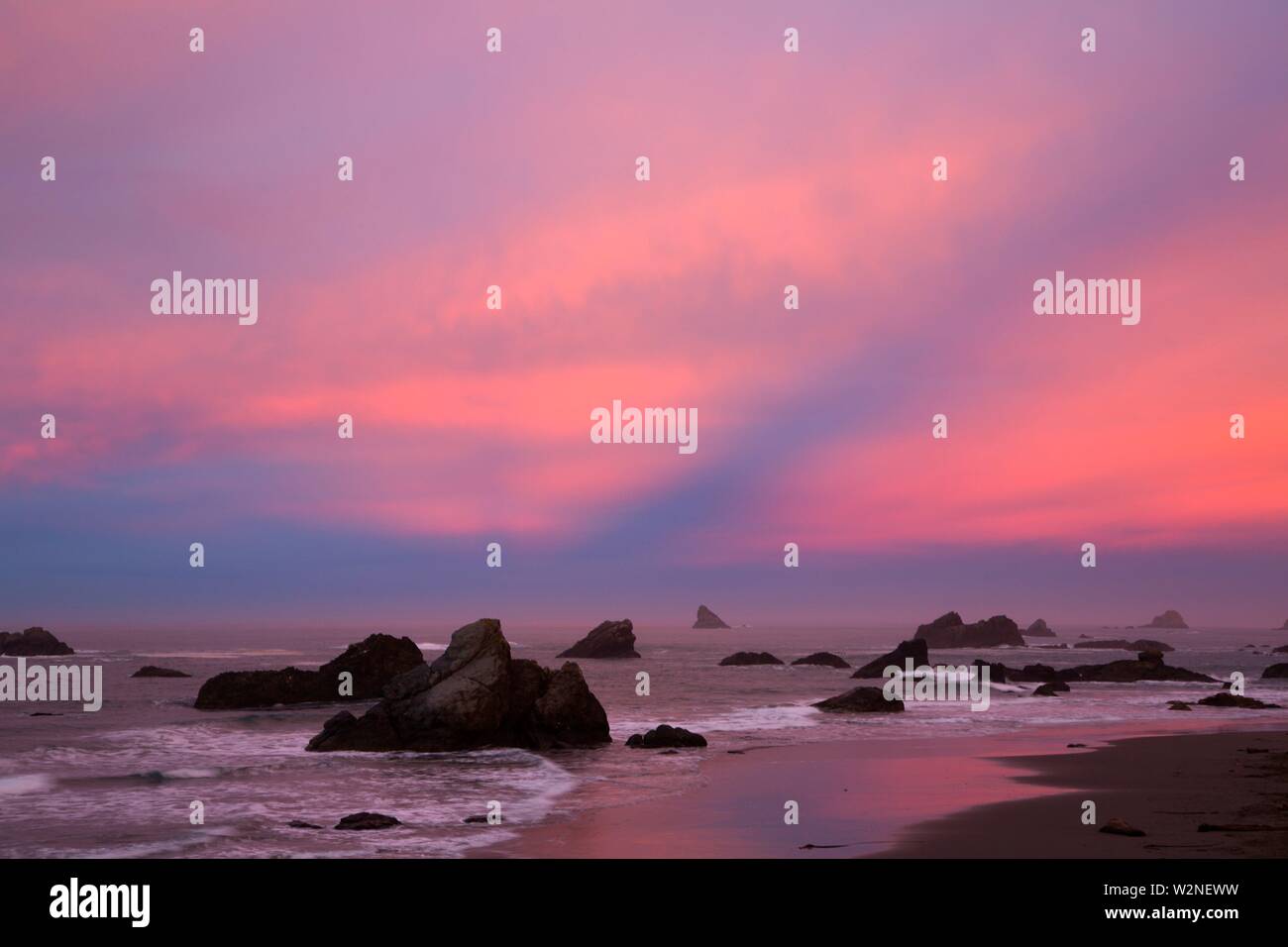 Seastack dawn, Harris Beach State Park, Oregon. Stock Photo