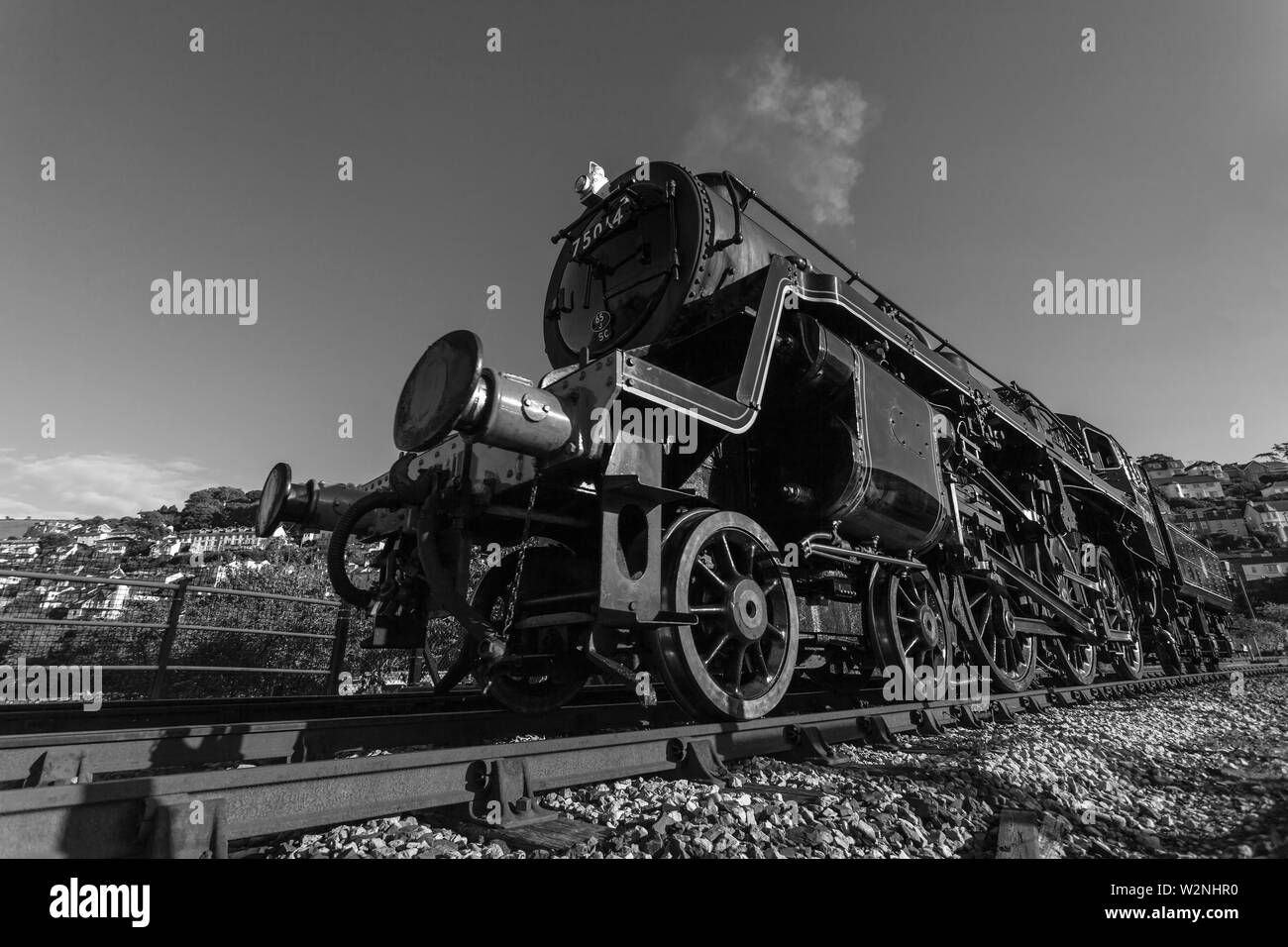 Dartmouth Steam Railway train Stock Photo Alamy