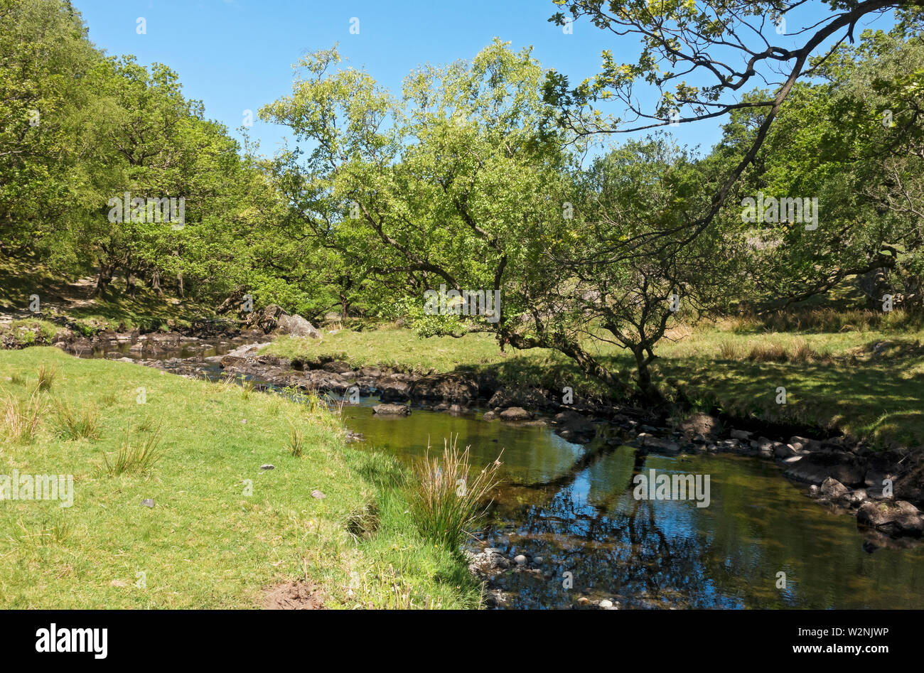 Walk along Watendlath Beck in summer Lake District National Park Cumbria England UK United Kingdom GB Great Britain Stock Photo