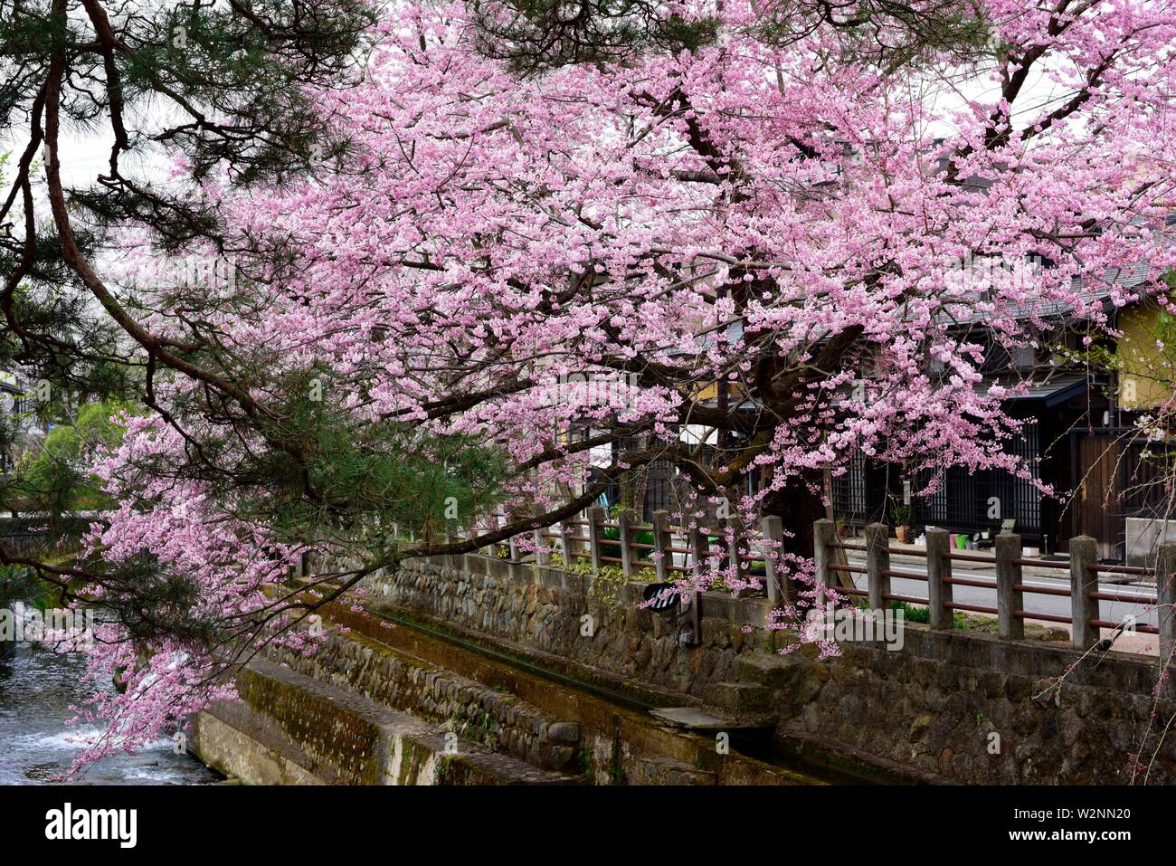Furukawa Hi Res Stock Photography And Images Alamy