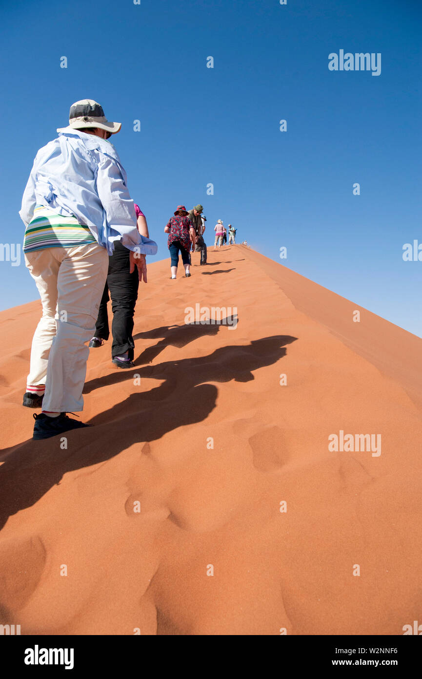 Hikers climbing up a sand dune ridge at Sossusvlei, Namib-Naukluft ...