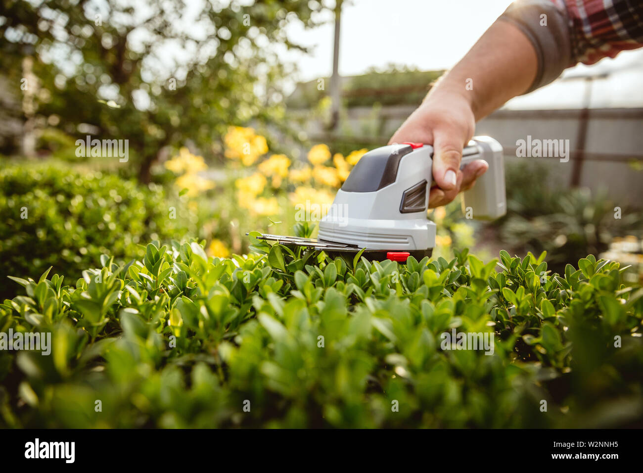Young farmer working at his garden in sunny day. Man engaged in the ...