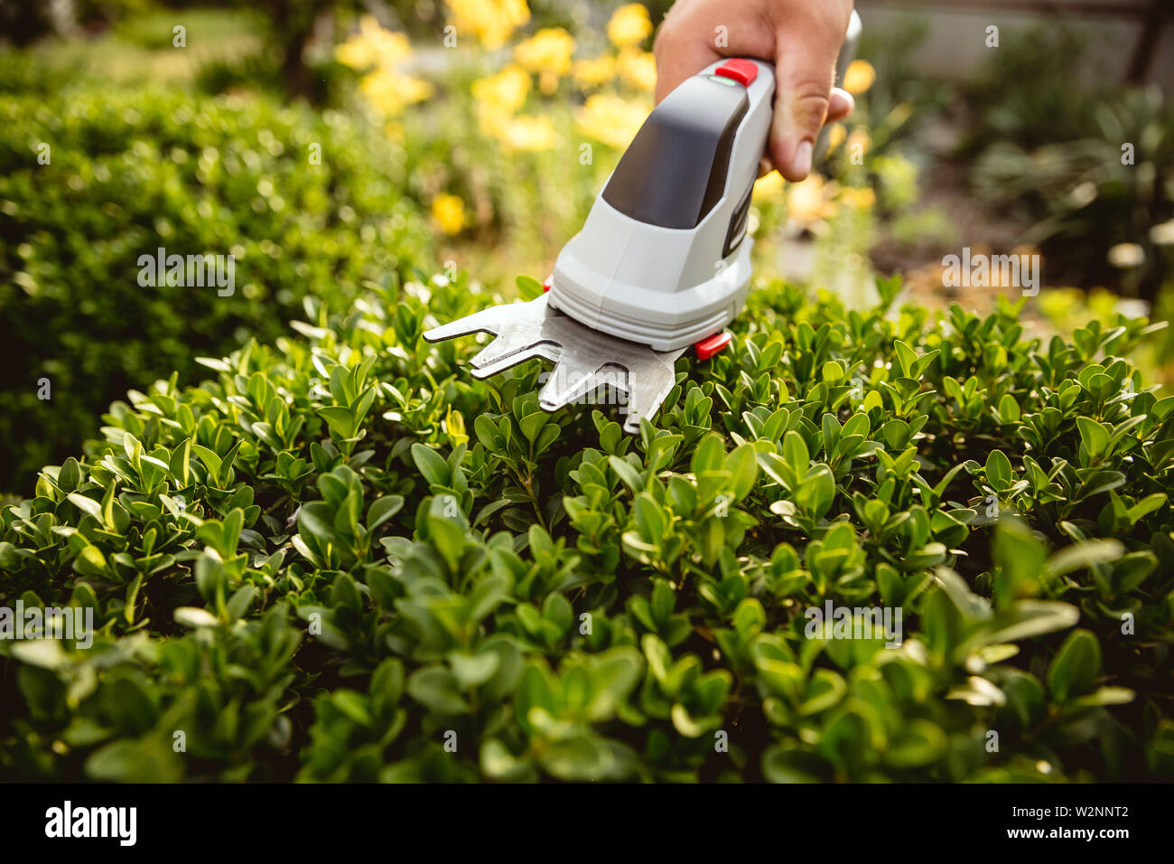 Young farmer working at his garden in sunny day. Man engaged in the ...