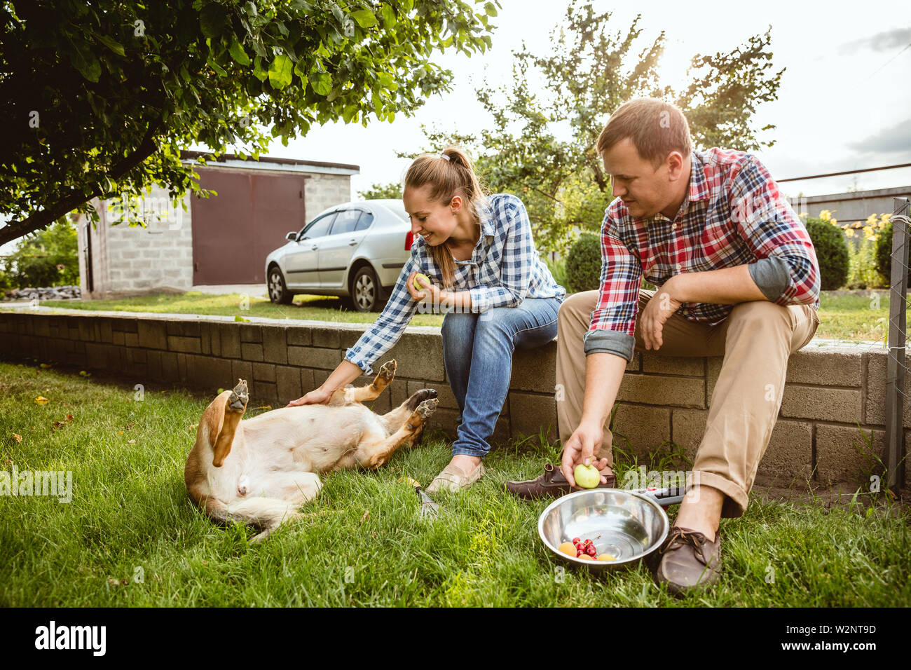 Young and happy farmer's couple at their garden near by home in sunny day. Man and woman playing with their dog and laughting. Concept of farming, agriculture, healthy lifestyle, family, relations. Stock Photo